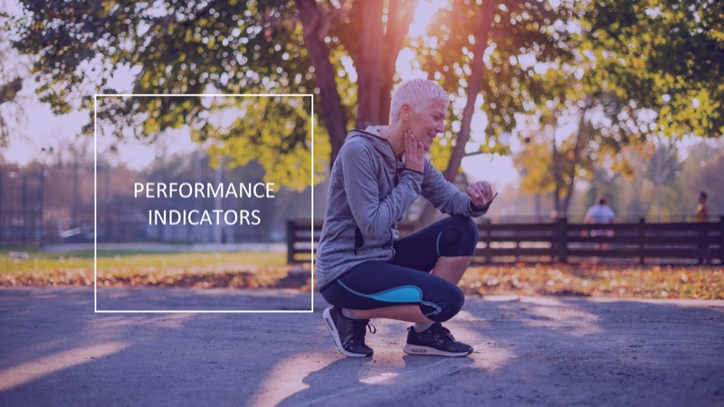 Performance Indicators section slide