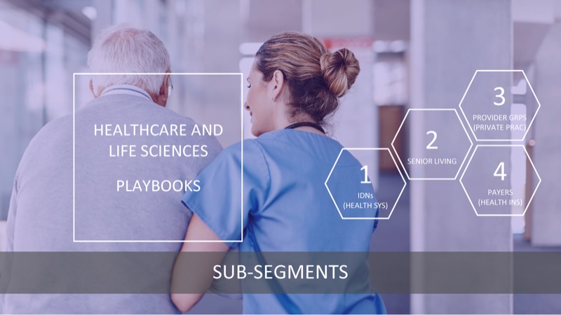 Healthcare and Life Sciences playbooks slide